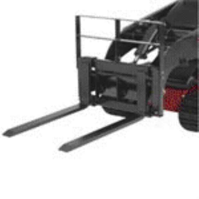 Rental store for LG FRAME DINGO, LG PALLET FORKS in Green Bay WI